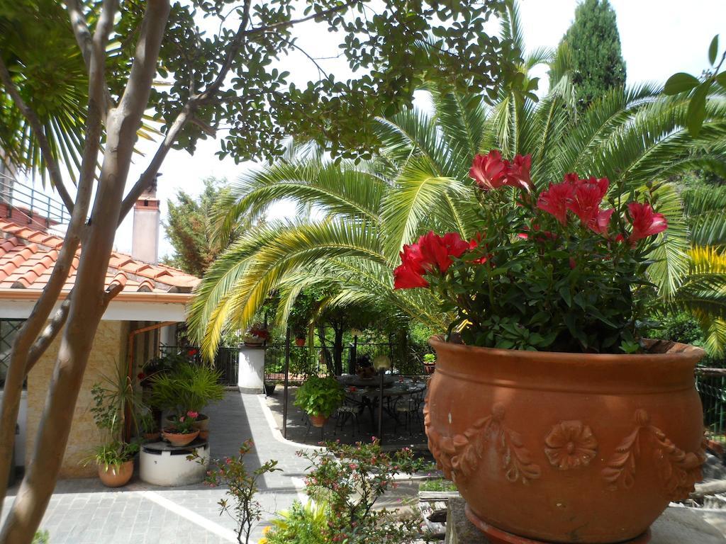 Bed And Breakfast El Dueno Palinuro Exterior foto